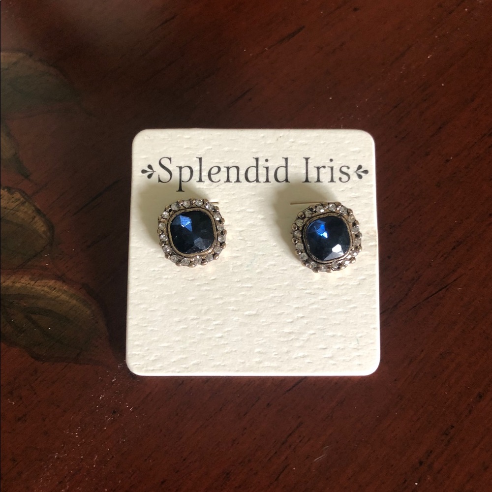 3/$25💥 Splendid Iris Earnings